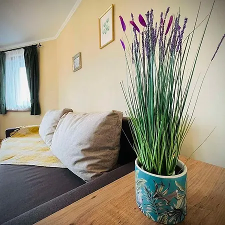 דירה The Guest House-amazing View, Location, Entire House *