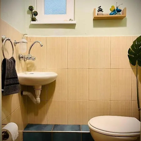 The Guest House-amazing View, Location, Entire House * Veliko Tărnovo